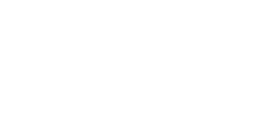 FIREX Logo.